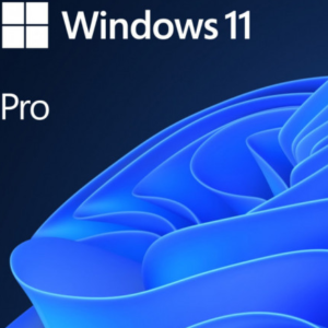 SW WIN PRO N 11 64-BIT ALL LNG PK LIC ONLINE DWNLD NR MS "FWC-03370"