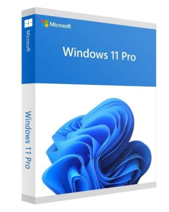Win Pro FPP 11 64-bit Eng Intl USB, "HAV-00163"