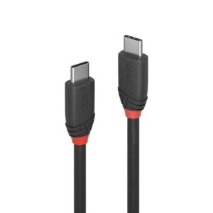 Cablu Lindy 1m USB 3.2 Type C to C 200gp "LY-36906" (timbru verde 0.8 lei)